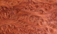 Redwoodmaser